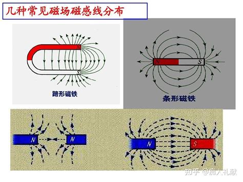 家里的磁场是什么意思|其实，那些“磁场”很强的人，都是有共性的